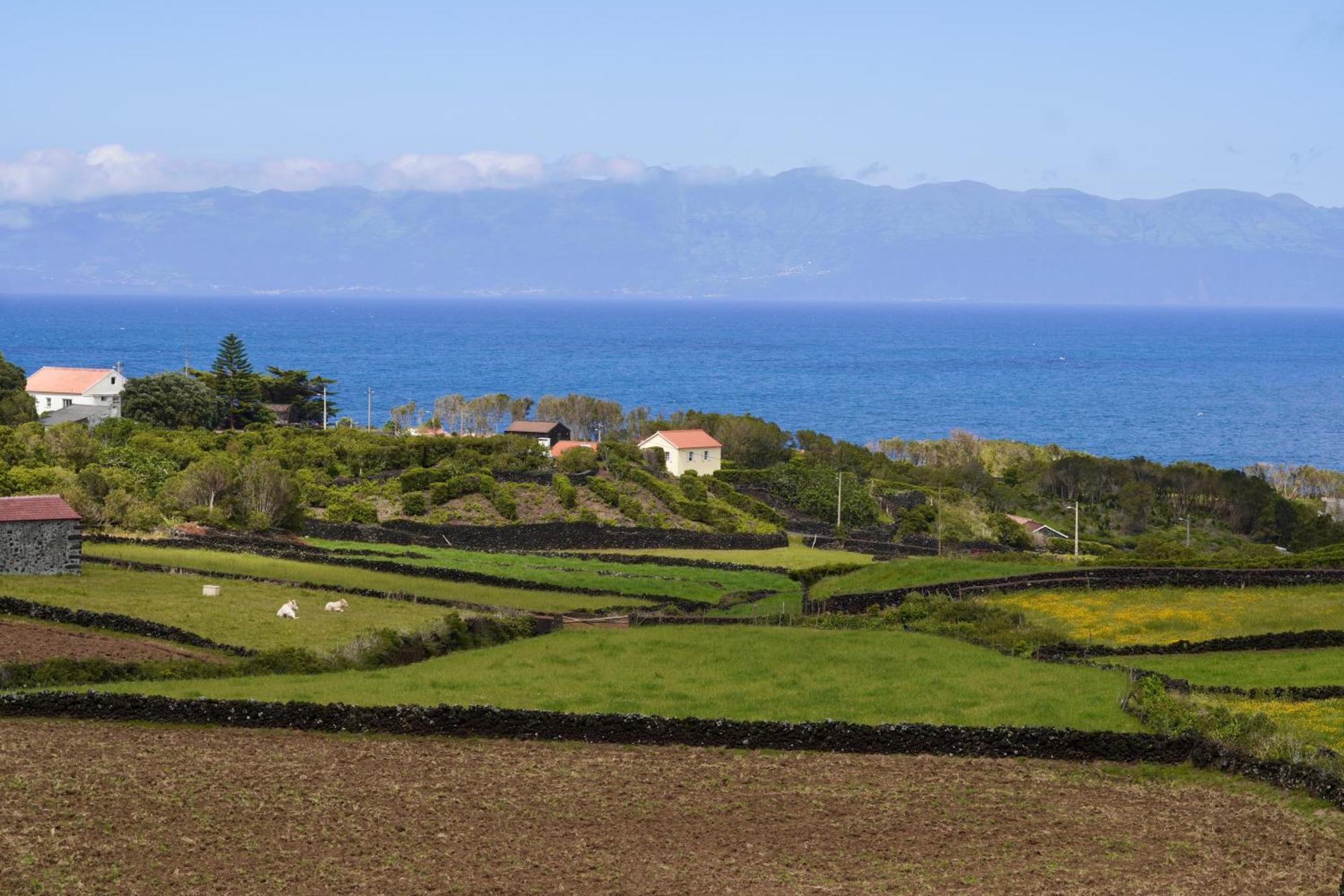 Casas Da Prainha A Villa Екстериор снимка